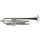 S.E. Shires Model Q10RS Q-Series Professional Bb Trumpet SN Q3825