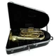 Eastman Model EBB534 Professional 4/4 BBb Tuba in Lacquer BRAND NEW