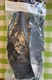 Neotech Holster Harness for Tuba - 18" Black MADE IN USA - NEW