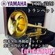YAMAHA Professional Model Trumpet YTR-6320S From Japan w/HardCase,mouthpiece