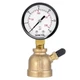 SENCTRL Gas Pressure Test Gauge, 2" Dial Size, 3/4" FNPT 0-30 Psi Brass
