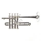 S.E. Shires Model Q9S Q-Series Professional Piccolo Trumpet