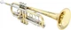 Bach 19072V Stradivarius Professional Bb Trumpet - 72 Bell - Vindabona Conical
