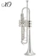 XO 1604RS Professional Key of Bb Silver Plated Large Bore Trumpet With Case