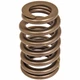 Acdelco 12706568 Spring Vlv (Slp 1)