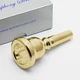 Schilke D5.1 Symphony Series 24K Gold Bass Trombone Mouthpiece NEW!