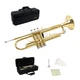StarQuest Bb Trumpet .460&rdquo; Bore High-Precision Nickel-Plated Valves, Ideal for