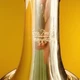 Jean Paul USA TR23690 Musical Trumpet With Case
