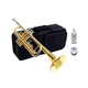 TEACHER APPROVED! Carolina Winds CW201TPT Premier Bb Trumpet