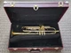 Selmer Paris Radial Bb model with Case