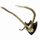 Antique Black Forest Red Deer Trophy from Salem - Germany, Banzenreuthe 1875