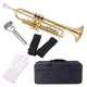Aileen Lexington Standard Gold Bb Student Model Trumpet Includes Hard Case, Clea