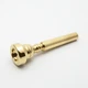 Genuine Schilke Symphony Series 24K Gold Trumpet Mouthpiece, D2 NEW!