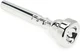 Vincent Bach Trombone Cleaning and Care Product (S6513C4)