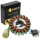 Stator For Honda Rancher 350 TRX350 TRX350FE TRX350FM TRX350TE TRX350TM 2000-06