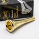 Bach 12 24K Gold French Horn Mouthpiece NEW!