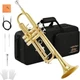 Eastar ETR-380 Bb Trumpet Gold Standard Student Beginner Set with Case & Kit NEW