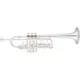 Eastman ETR530S Advanced Series Trumpet Silver Yellow Brass Bell