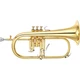 Yamaha YFH8310ZII Custom Z Series Bb Flugelhorn Lacquer Yellow Brass Bell