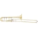 S.E. Shires Model Q36YA Q-Series Bass Trombone with Dual Axial Flow Valves