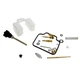 Honda TRX350 350 Rancher Carburetor Rebuild Kit 04-06