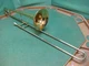 Accent TB512L Trombone - Reconditioned - Case & Blessing 12C Mouthpiece