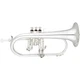 Eastman EFG512GS Intermediate Flugelhorn
