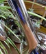 Getzen #900S Classic Eterna Series Silver - Clear Lacquer Pro Trumpet Outfit