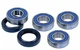 Honda TRX350 FourTrax Rear Wheel Bearings Late 86-87