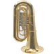 Eastman EBB825VG Professional 5/4 BBb Tuba in Gold Brass SN Y2500333