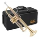 Jean Paul TR-430 Intermediate Bb Trumpet - Brass Lacquered with Rose Brass Le...