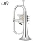 XO 1646RS Professional Key of Bb Silver Plated Yellow Brass Flugelhorn With Case