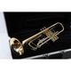 Giardinelli GTR-300 Student Bb Trumpet 197881149048